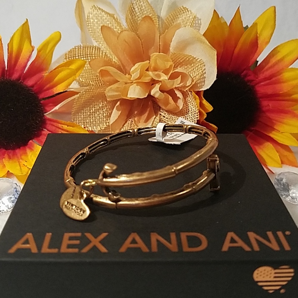 Alex and Ani Anchor Wrap bracelet